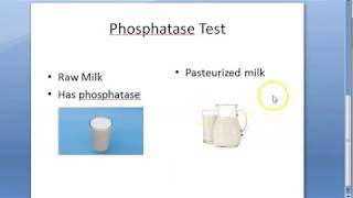 PSM 696 Phosphatase Test Milk Pasteurization Pasteurized [upl. by Daigle]