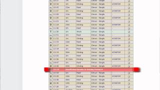 Day View  Tacho Working Times Day Chart  Tachomaster Tachograph Analysis [upl. by Mogerly]