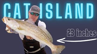 BIG SPECKLED TROUT Wade Fishing SOUTH Mississippi [upl. by Arihsak675]