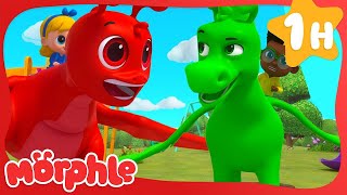 Morphle amp Orphle Epic Tag  My Magic Pet Morphle  Morphle Dinosaurs  Cartoons for Kids [upl. by Ttelracs]