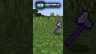 Jedyny item w swoim rodzaju 😮🤯 gaming minecraft multiplayer online music trailer [upl. by Omor]