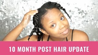 Transitioning Natural Hair Update  10 Months Post Relaxer [upl. by Goodard136]