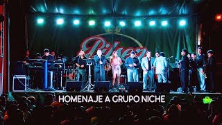 MIX NICHE EL MEJOR HOMENAJE SALSA LATINA EN VIVO ORQUESTA LA GRANDE 2019 [upl. by Jorgan]