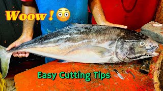 Incredible Big Para Hard Fish Easy Cuts Techniques for Success [upl. by Hungarian]