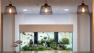 2m Custom Planted Community Aquarium  Rainbow Fish Aquascape  AQUAtechniques [upl. by Atnom]