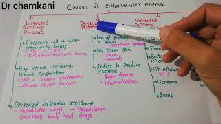 Renal physiology 24  Causes of extracellular edema  Increased capillary pressure  low proteins [upl. by Htederem910]