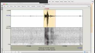 Recording a sound file and viewing a spectrogram in Praat [upl. by Nolava]