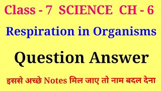 respiration in organisms class 7 question and answer  class 7 science chapter 6 question answer [upl. by Weingarten666]