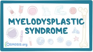 Myelodysplastic syndromes  causes symptoms diagnosis treatment pathology [upl. by Eiramnaej]