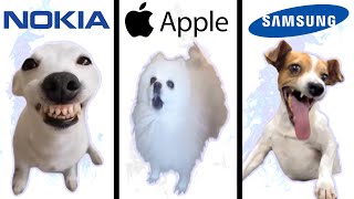 Dog Memes but famous phone ringtones [upl. by Eelarual]