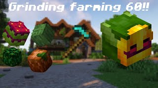 I guess Im a farmer now  Hypixel Skyblock [upl. by Adelric]