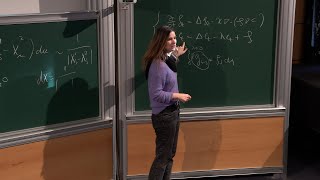 Milica Tomašević  Particle Approximation of the Doubly Parabolic KellerSegel Equation in the Plane [upl. by Elihu]