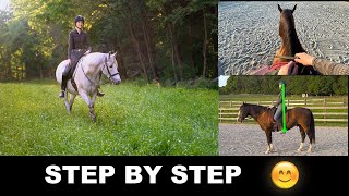 HOW TO RIDE A HORSE FOR BEGINNERS STEP BY STEP 🐎 [upl. by Teragram]