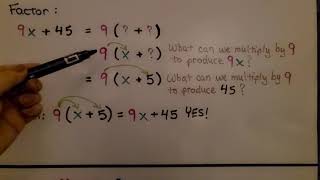 7th Grade Math 61d Factoring Algebraic Expressions [upl. by Lunetta]