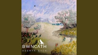 Aderyn Bach [upl. by Tenom]