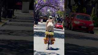 CYCLING INTO THE SPRING cycling cycle bike bikelife roadbike roadcycling [upl. by Kurys]