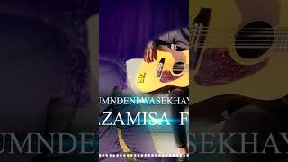 Phazamisa Ft Mphile  Umndeni Wasekhaya [upl. by Pamela]