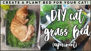 I made my cats a BED OF GRASS Cat Grass Bed Tutorial amp Experiment [upl. by Genisia103]