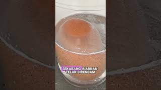 🎥 Eksperimen Seru Telur Ajaib 🥚 [upl. by Wooster]