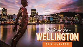 The Best Little City in the World  Wellington NZ Walking Tour  Top Sights amp Hidden Gems [upl. by Anselma]