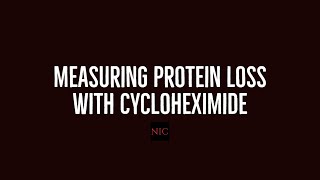 Using Fungicide Cycloheximide to Measure Protein Degradation [upl. by Ocirderf]