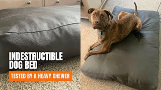 Bully Beds Review The Best Indestructible Dog Bed ChewProof Dog Bed [upl. by Damalis]