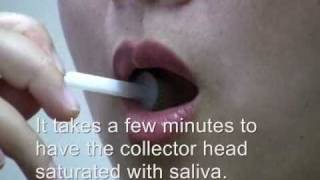 OralAQ Saliva Drug Test  How to [upl. by Allwein85]