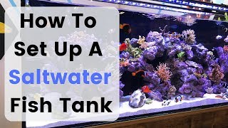 How To Set Up Build A Saltwater Fish Tank  Aquarium [upl. by Hnah]