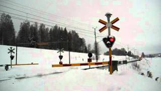 Green Cargo freight train heads southbound over the Gruvvägen level crossing [upl. by Cirek]