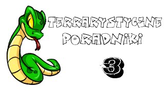 Terrarystyczne poradniki  3  Podstawowe Informacje O Agamach [upl. by Yeargain]