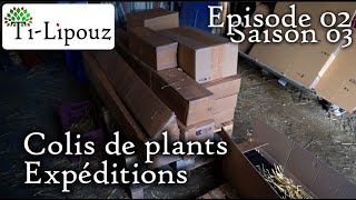 Comment se passe lenvoi colis de vos plants fruitiers [upl. by Cnut]