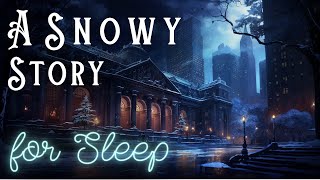 A Snowy Story ❄️ A Snowy Night at the New York Public Library ❄️ Peaceful Story for Sleep [upl. by Breskin]