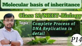 Molecular basis of inheritancePart 14DNA REPLICATION in detail class12 neet biologyscience [upl. by Enilatan]