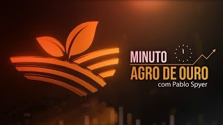 Trigo em queda taxa em Goiás fertilizantes de Putin são destaques  Minuto Agro de Ouro [upl. by Kyle]