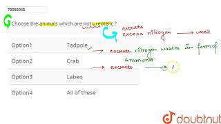 Choose the animals which are not ureotelic [upl. by Murat]