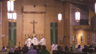 Solemn Mass at St Albans Ordinariate Catholic Church the Communion Rite [upl. by Uhayile]