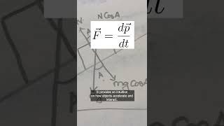 What are the top five Fs in Physics physics  science top5 asmr [upl. by Sirrep462]