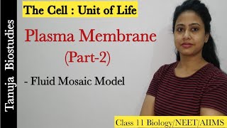 Cell  The Unit of Life Plasma Membrane  Structure amp Functions Part2 Fluid Mosaic ModelClass 11 [upl. by Humfrid154]