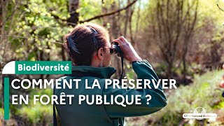 Comment préserver la biodiversité en forêt publique [upl. by Prent]