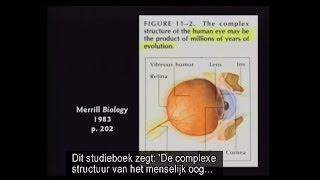 Bewijs voor evolutie het oog [upl. by Garihc156]