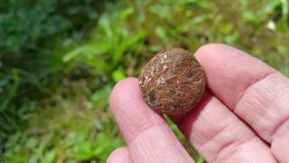 26ct rare AAA Astrophyllite cabochon from ShangrilaGems [upl. by Blynn297]