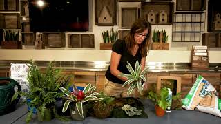 How to Make a Kokedama with Kathleen [upl. by Gaves]