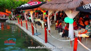 EL FISH FRITANGA COMERCIAL RESTAURANT MARISCOS [upl. by Drofnelg]