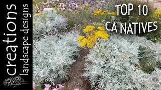 Top 10 California Native Plants [upl. by Otila]