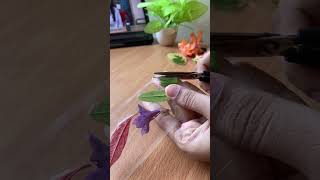 Diy pressed flowers 🌺✨art drawingtutorial journaling aesthetic aestheticvideo flowers [upl. by Kcaj]