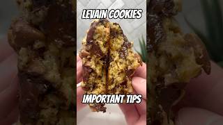 Levain Bakery Cookie Recipe [upl. by Tareyn]