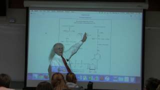 11 Aherns BB 350 at Oregon State University  Enzyme Control [upl. by Zhang]