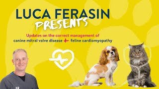 Updates on the Correct Management of Canine Mitral Valve Disease and Feline Cardiomyopathy [upl. by Ahsilad]