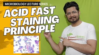 Acid fast staining  acid fast staining test principle and procedure [upl. by Guarino920]