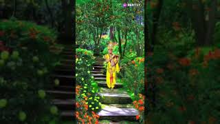 Jai shree Krishna shorts video guru or chela official channel ayyappadeeksha smkrishna karunas [upl. by Isolda]